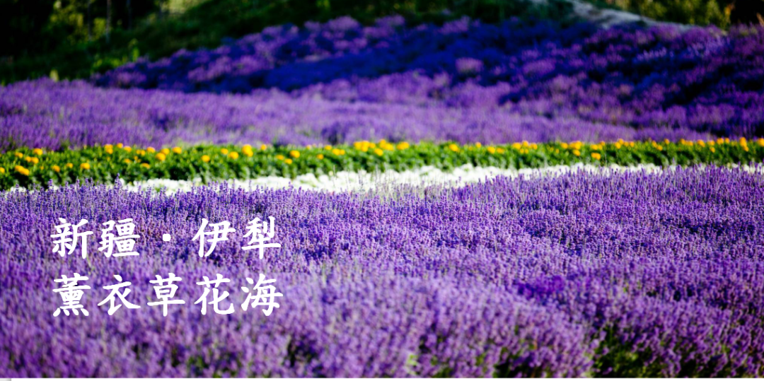 CIELOBLU基路伯 | 祖國之美，都在大自然的萬千色彩中(圖2)